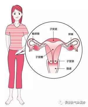 41％的育龄女性患有不同程度的妇科炎症,而已婚女性发病率更