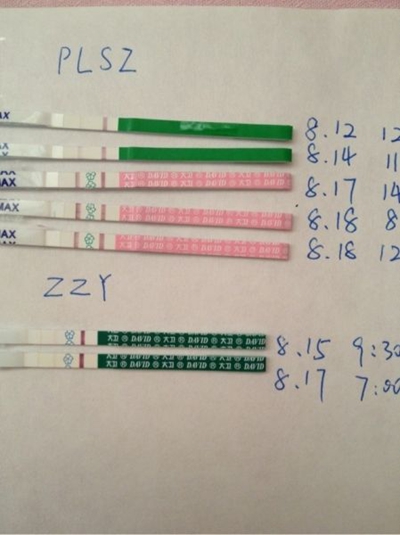 排卵試紙測(cè)早孕圖 (17)