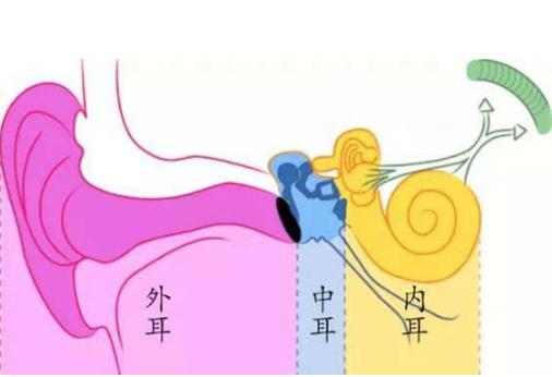 咽鼓管阻塞 (61)