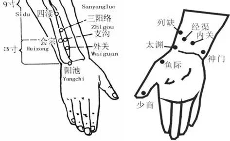 手腕脚腕转一转,就能通12经络