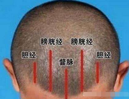 按摩头部穴位,让你摆脱白发、脱发、头皮屑!
