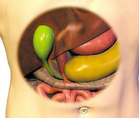 胆结石疼痛部位图 (64)
