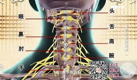 “富贵包”的危害有哪些?你的颈椎还好吗?
