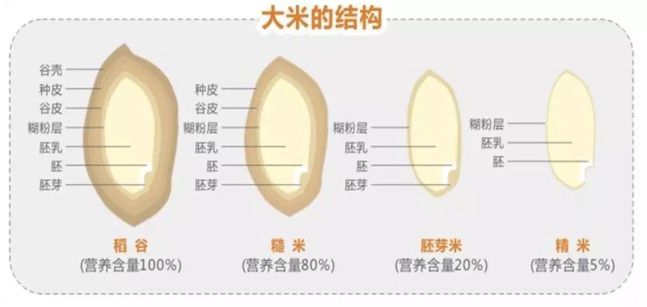 微量营养素缺乏有所改善,膳食结构正在优化城乡不同年龄组身高有增长