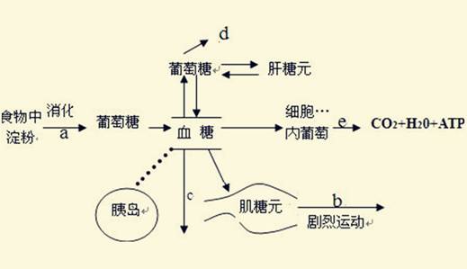 2,Ӱ֬,ʴл