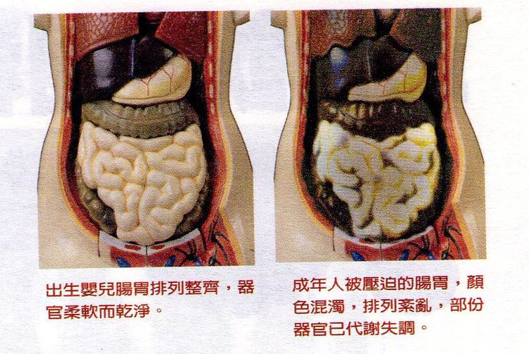 宿便对人体产生的三大危害