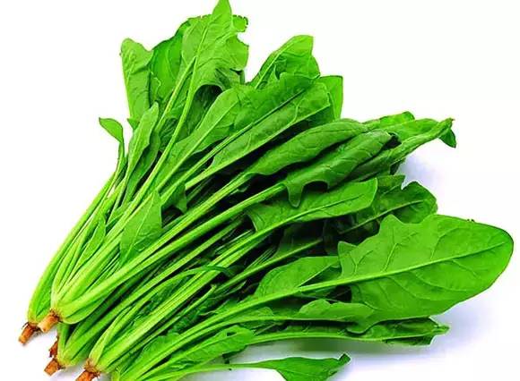3,少吃菠菜