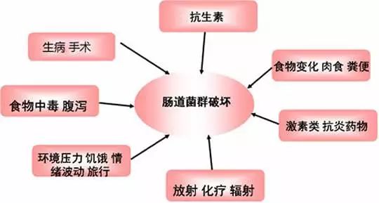 便秘 乙肝