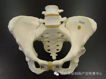 产前产后骨盆有哪些变化?