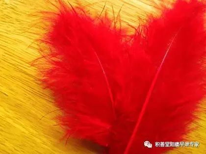 得了前列腺炎怎么办?