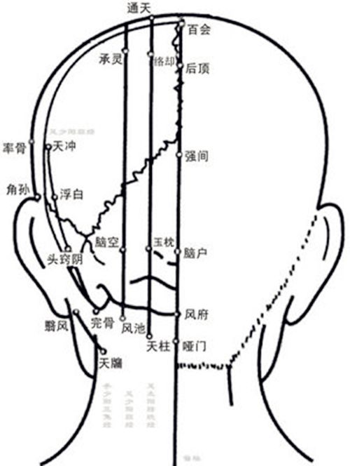 2,按揉背部的肝俞,脾俞,胃俞,肾俞各50次,力度稍重,以胀痛为宜.