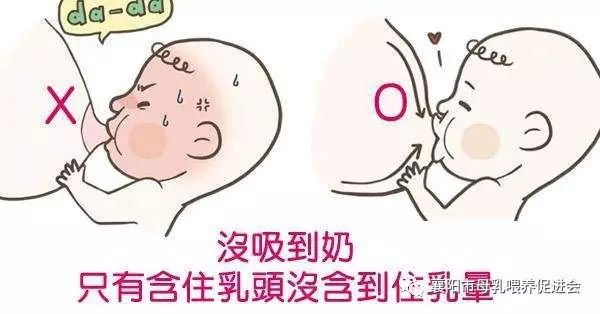 新妈妈如何给宝宝正确哺乳?