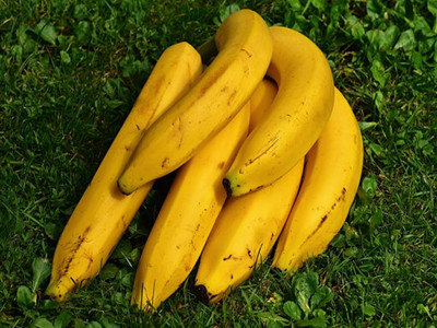 bananas-1642706__340_副本.jpg