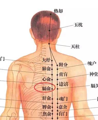 中医膈俞穴治疗失眠有奇效