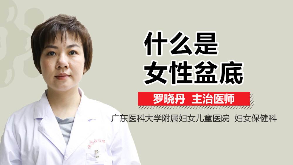什么是女性盆底