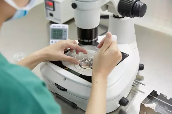 jpg 640.webp (6556).jpg