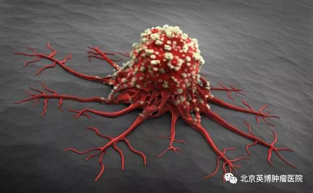 恶性肿瘤的治愈率为什么会这么低?