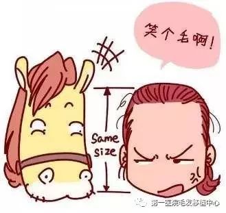 发际线后移会导致秃顶吗?