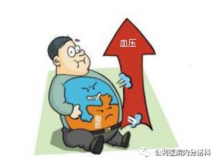 肥胖型高血压怎样减肥减压好?