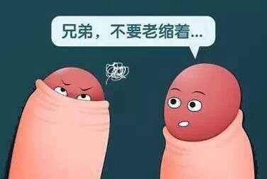 7&gp=0.jpg
