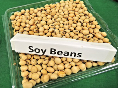 soy-beans-968986__340_副本.jpg