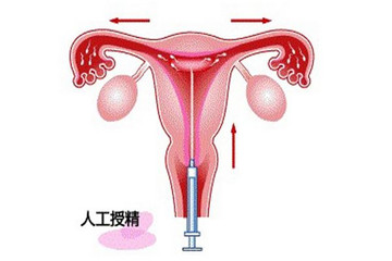 edf851d75e90a04d753d7778fbd8490e_副本.jpg
