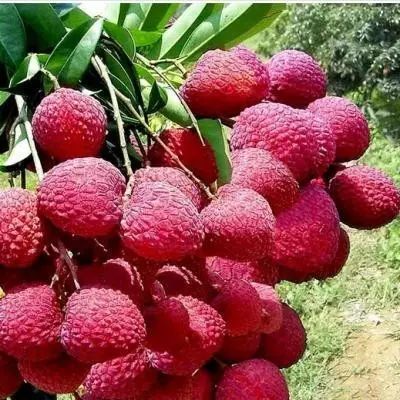 肾结石手术之后该怎么保养?