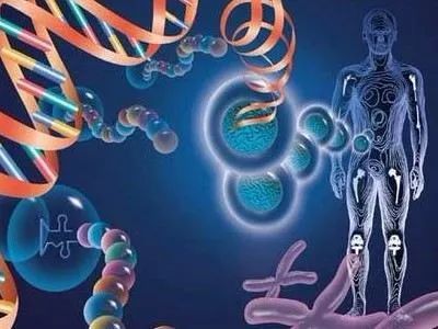 术后伤口愈合慢的原因是什么?