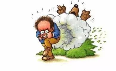 放屁的次数增多