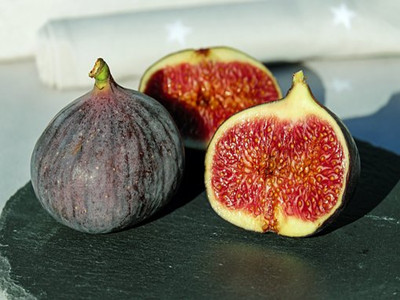 figs-1620664__340_副本.jpg