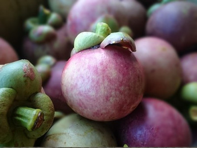 mangosteen-950588__340_副本.jpg