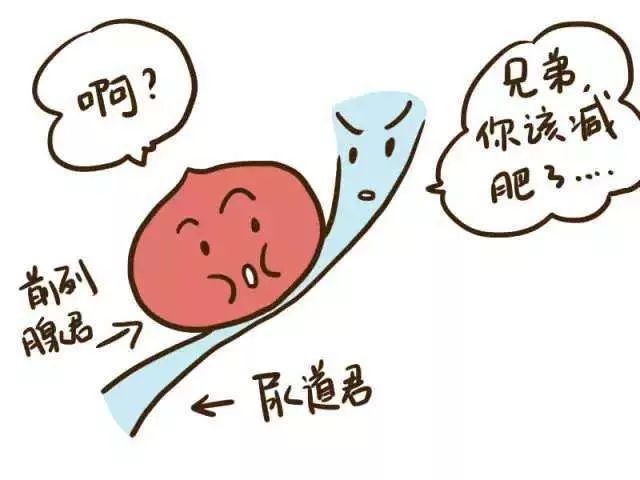 前列腺增大不需要治疗?