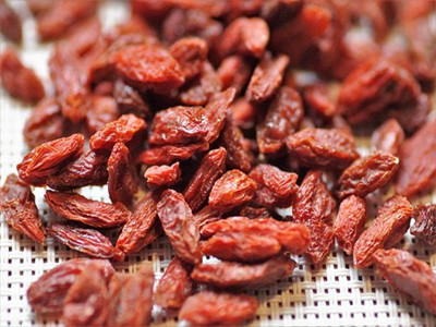 goji-3162716__340_副本.jpg