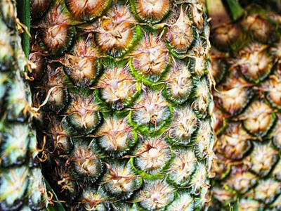 pineapple-870217__340 (1)_副本.jpg