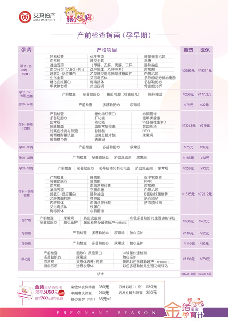 金猪宝宝产前检查-孕早期.jpg