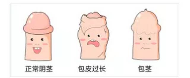 阴茎脱皮怎么回事?