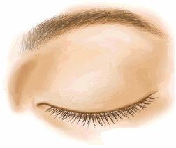 11.gif
