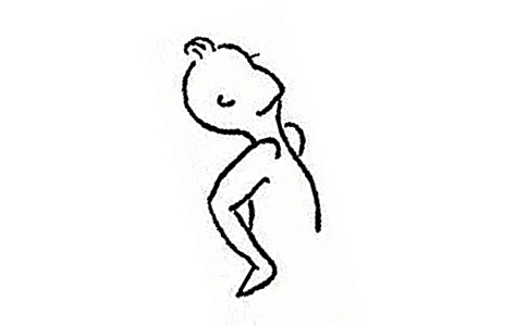 u=3831159514,588621294&fm=26&gp=0.jpg