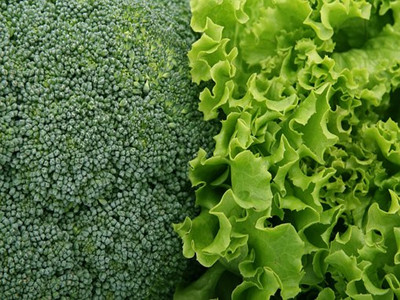 broccoli-1239430__340_副本.jpg