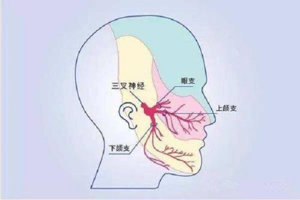 u=4161766613,2219853729&fm=26&gp=0.jpg