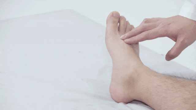 4.gif