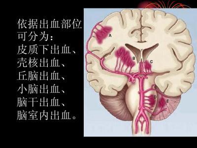 下载 (4).jpg