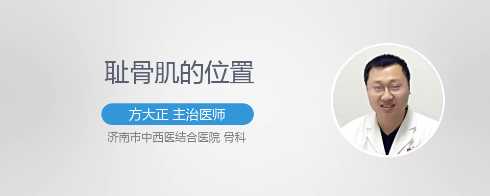 耻骨尾骨肌怎么锻炼