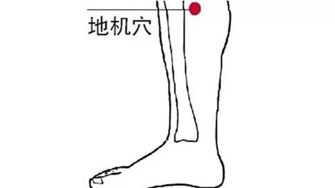 3,治慢性胰腺炎,糖尿病:揉地机穴