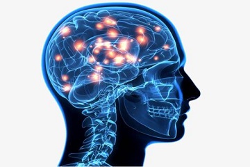 u=1728465534,1249102509&fm=26&gp=0.jpg