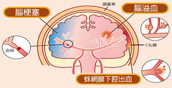 下载.jpg