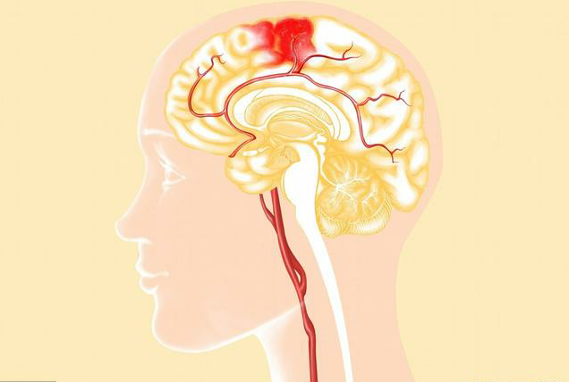 jpg u=1822279926,604977672&fm=26&gp=0.jpg