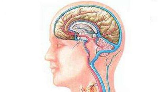 u=3228307098,2392150478&fm=26&gp=0.jpg