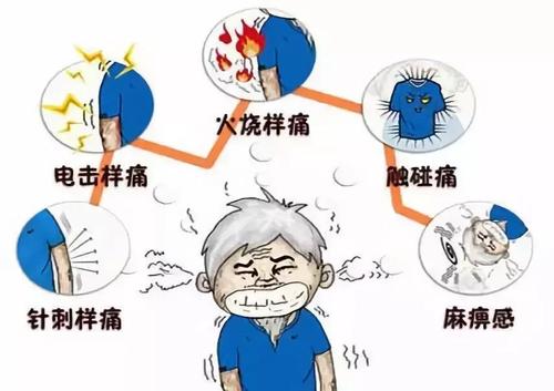 下载 (1).jpg