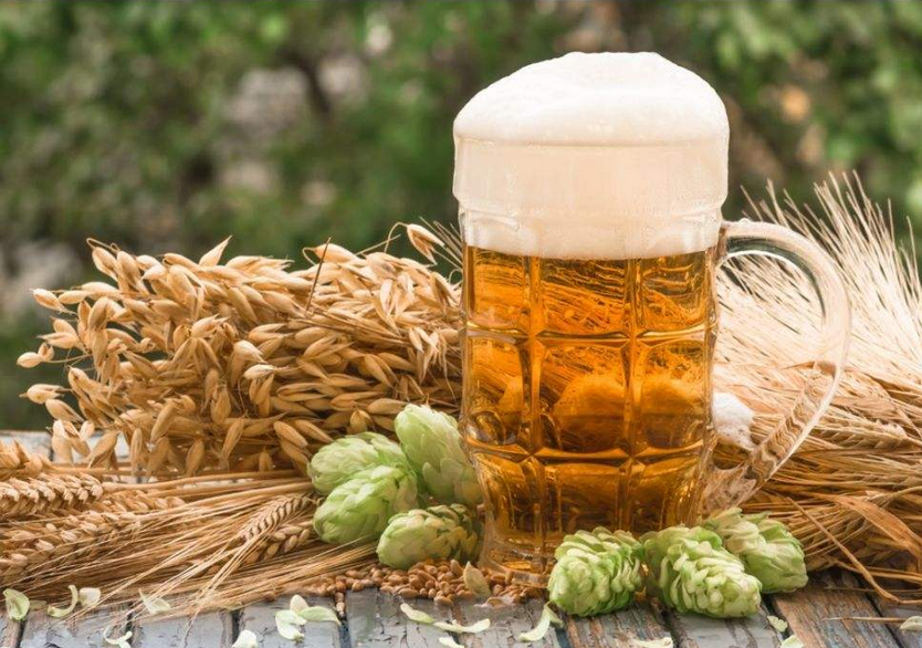 jpg 啤酒大麦.jpg